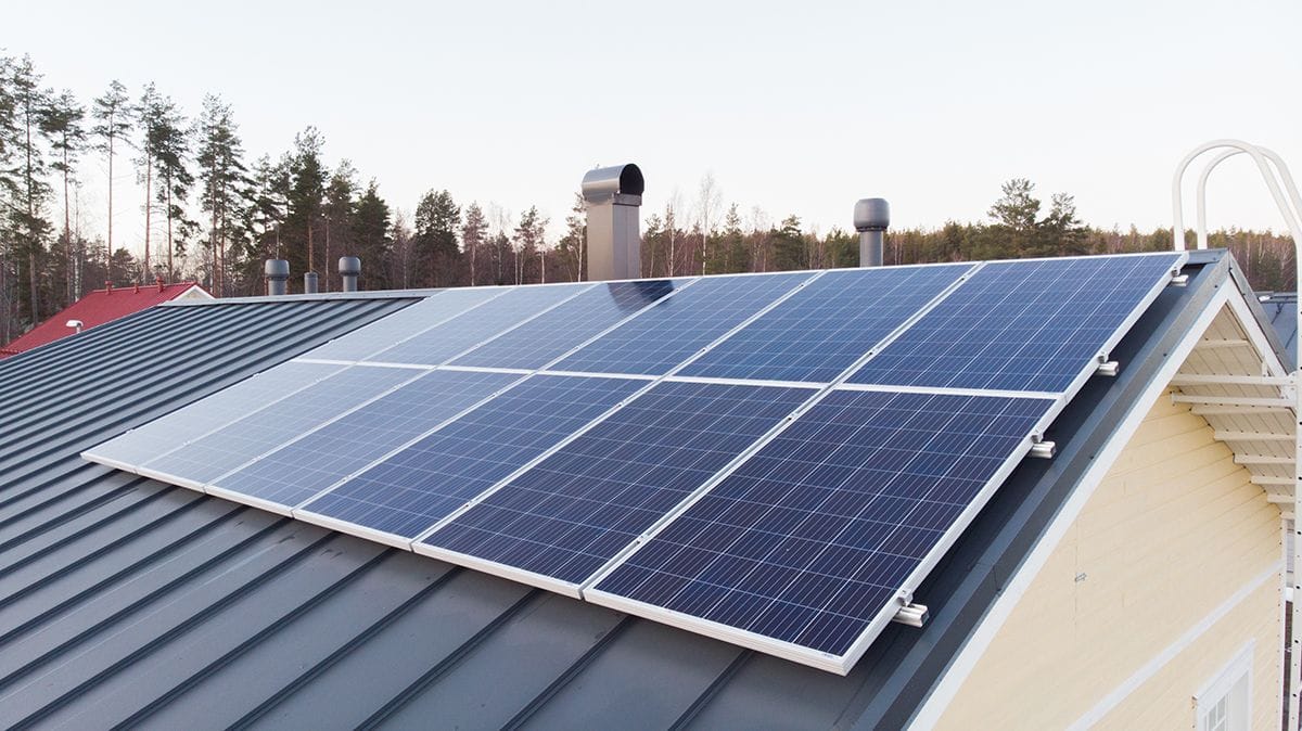 Tämän kuvan alt-attribuutti on tyhjä; Tiedoston nimi on Tammilehto_4.jpg